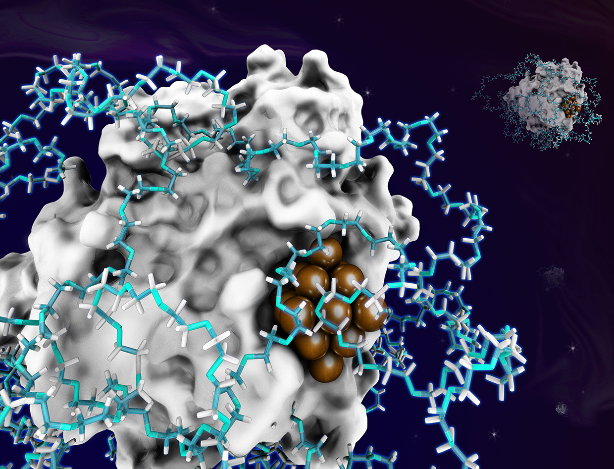 After the Paper | An after-the-paper story of enzyme-metal hybrid catalysts with controllable metal nanoparticle size