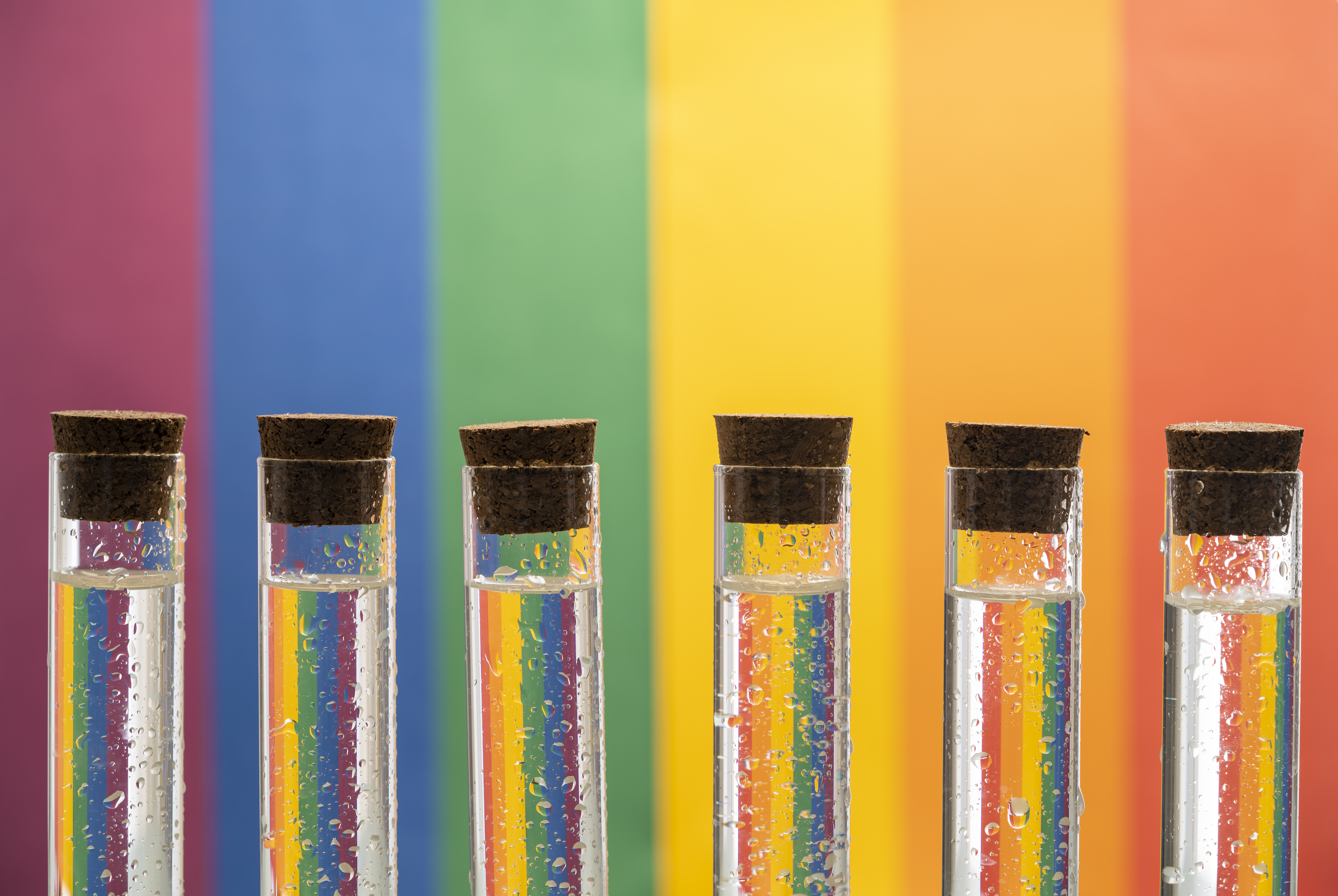 Diverse Views in Science | Queer in Chem