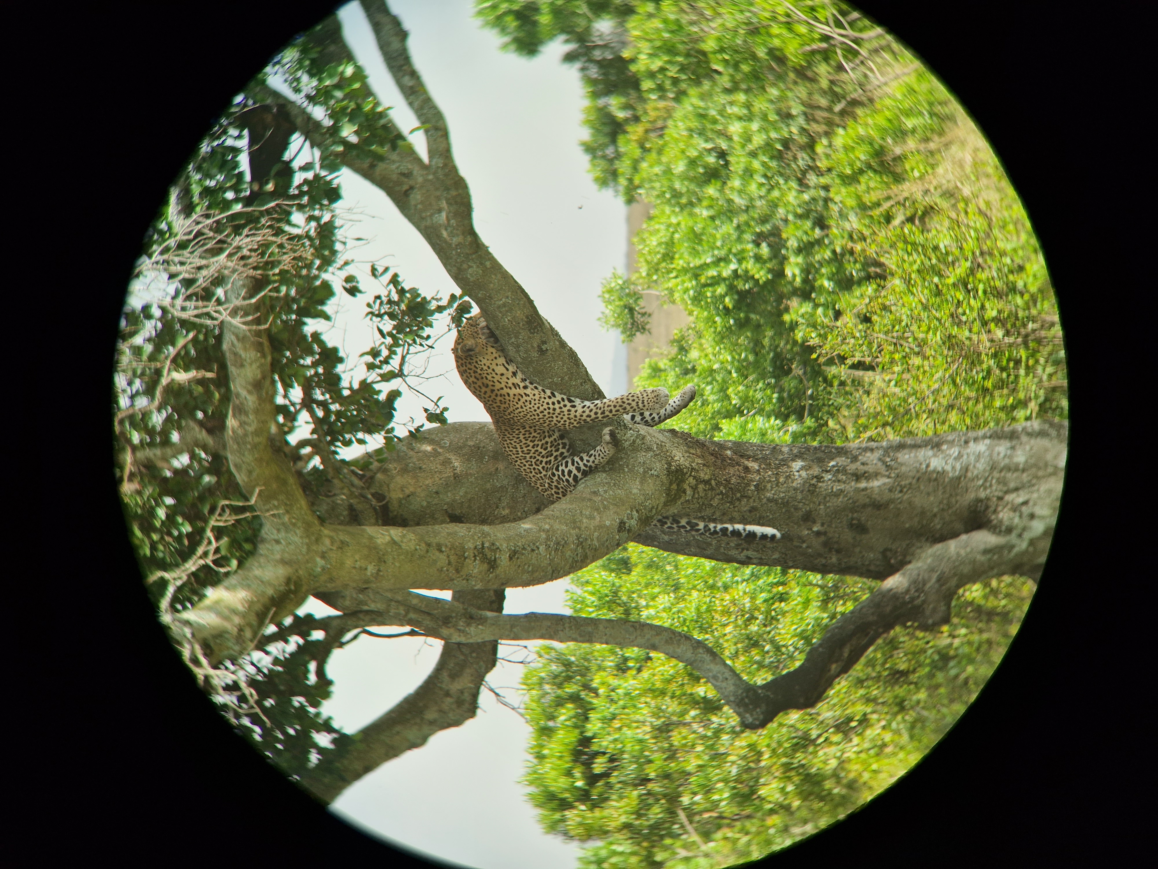 Hi WildHub community!