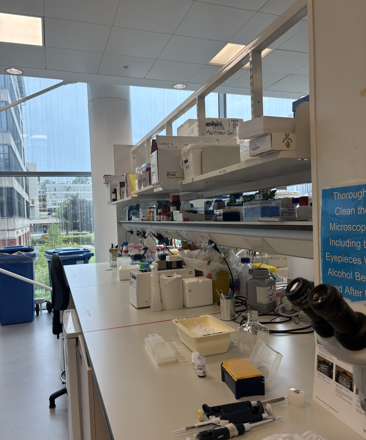 Research Week 1: Pipettes, Patience, and Progress