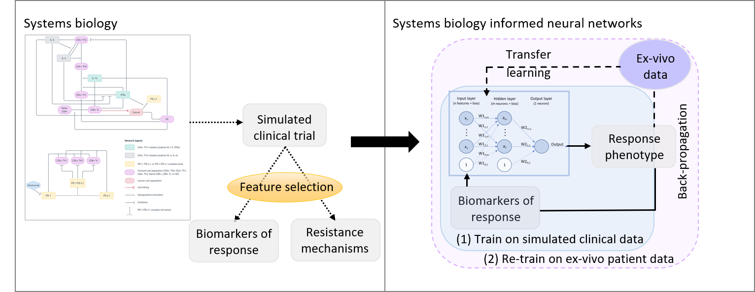 Machine learning integrated with systems biology: An effective strategy for interpreting and learning from small clinical data sets