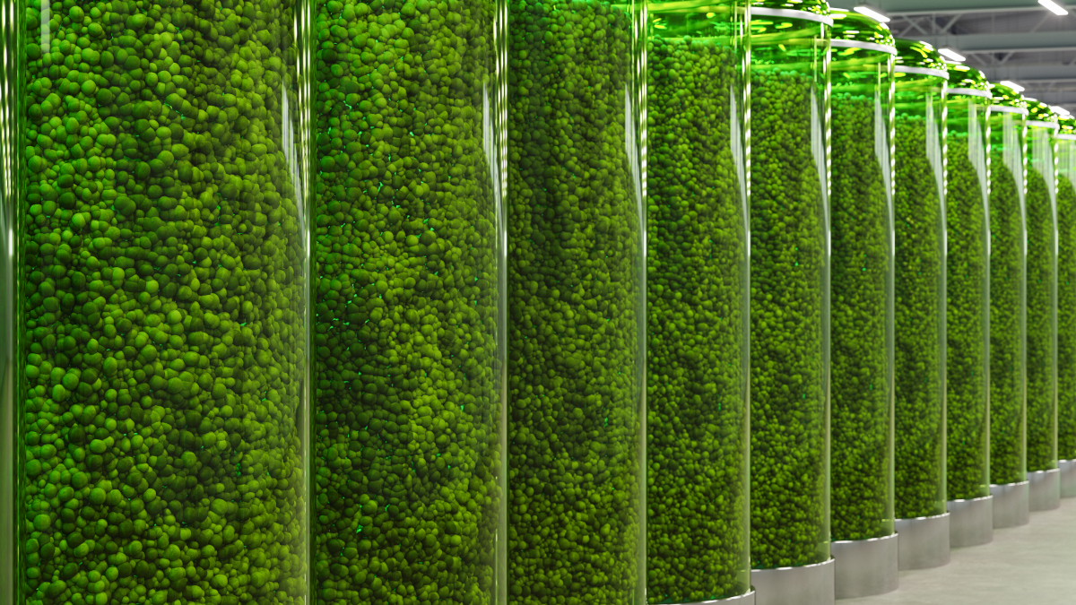 Call for papers: Carbon Dioxide Removal
