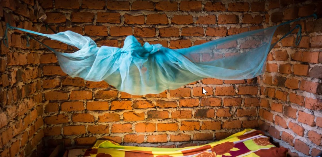 World Malaria Day 2025 - April 25th - Malaria Ends With Us: Reinvest, Reimagine, Reignite !