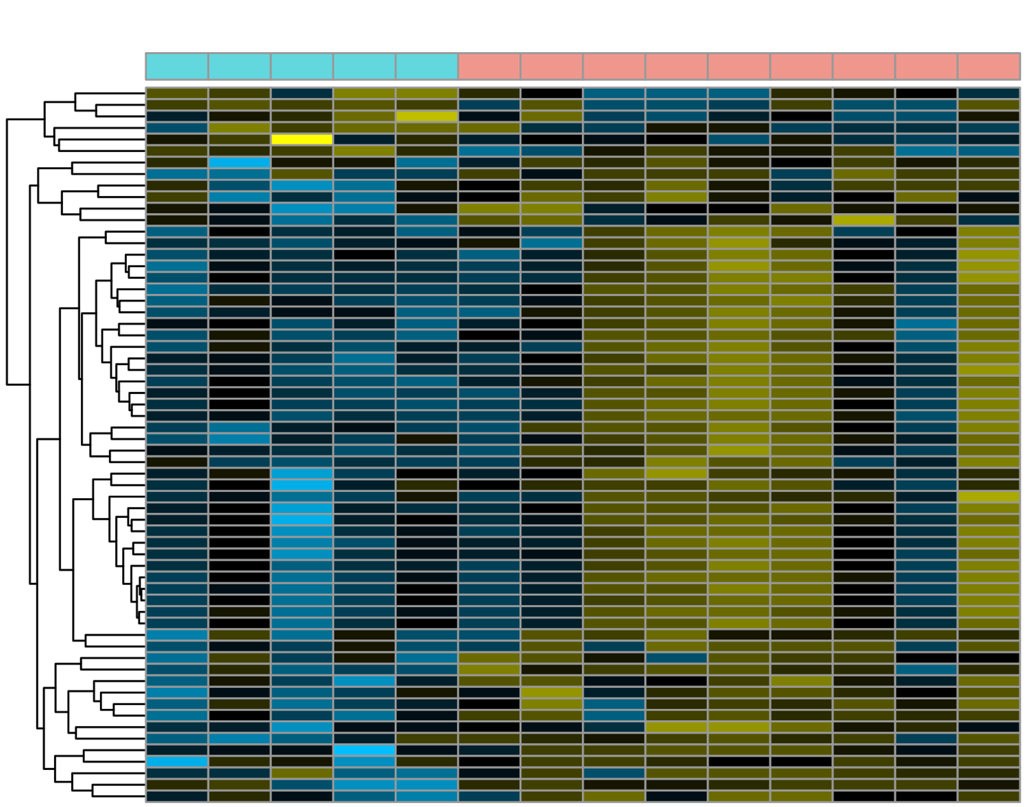 A Complementary Proteomics and Cardiac Magnetic Resonance Approach to Characterize Right Ventricular Remodeling After Tetralogy of Fallot Repair
