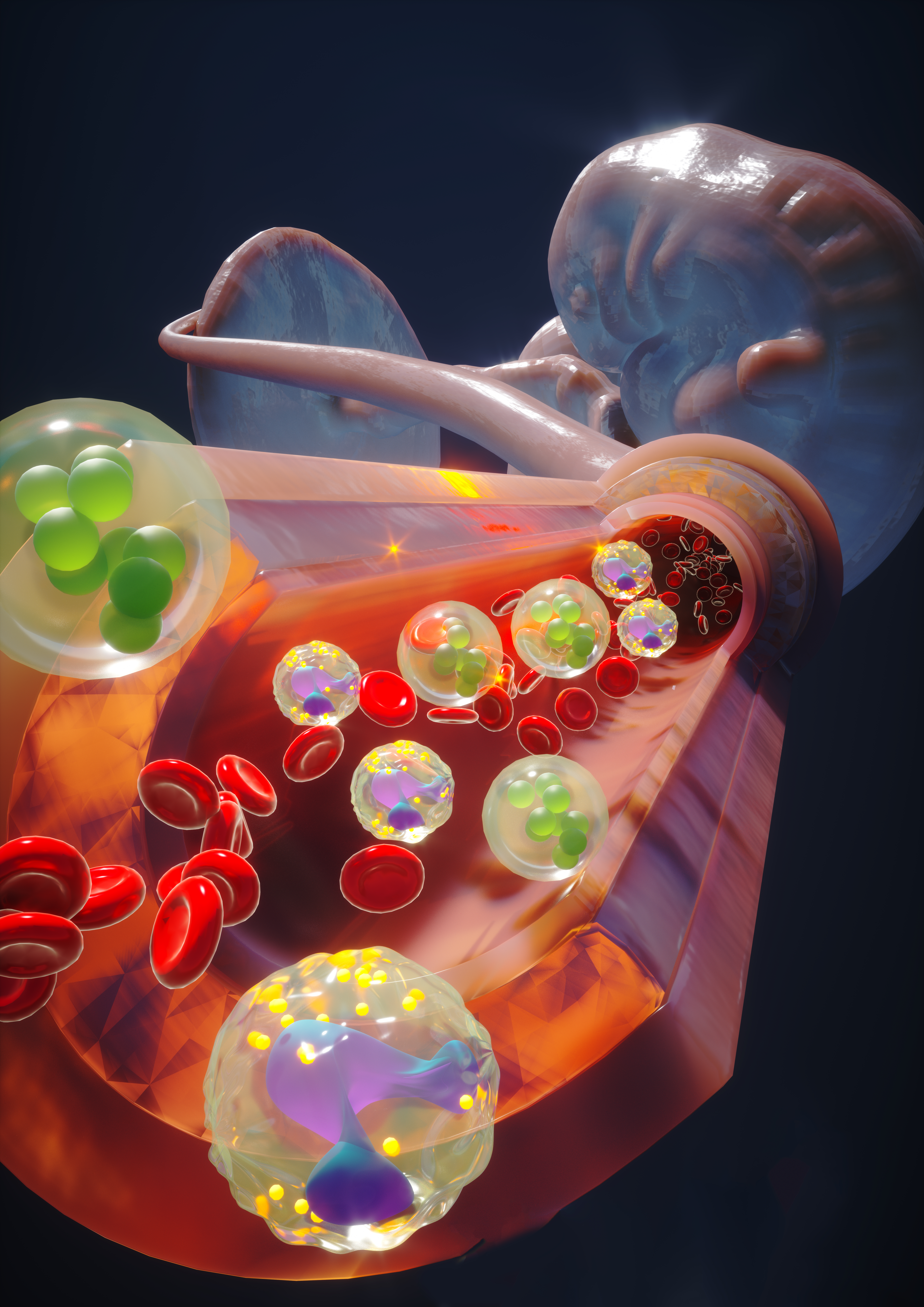 Organoids meet single-cell and spatial omics