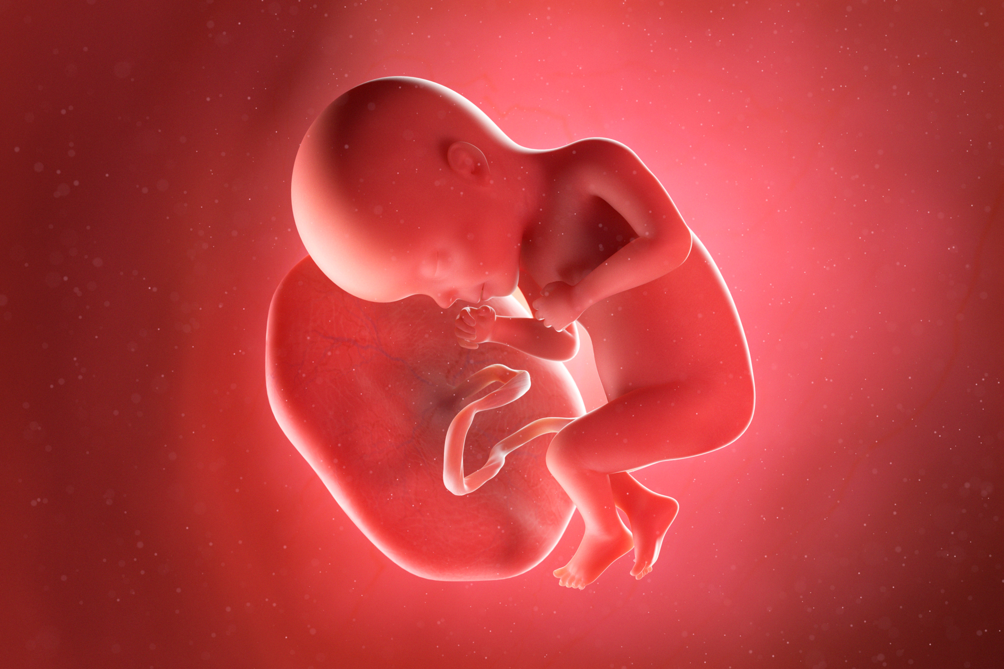 Call for papers: Placental development and function Collection