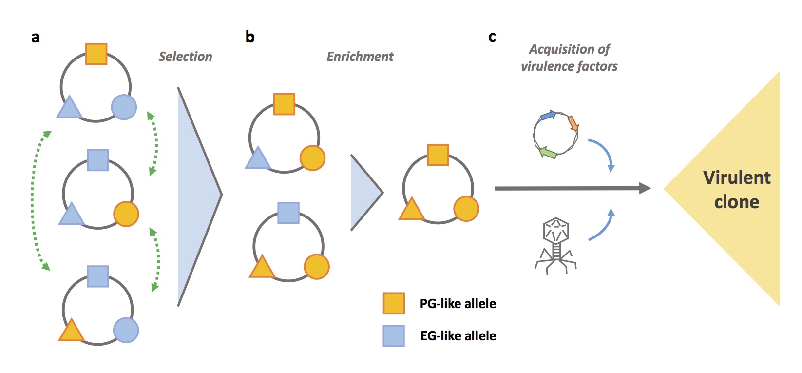 The origins of a pathogen