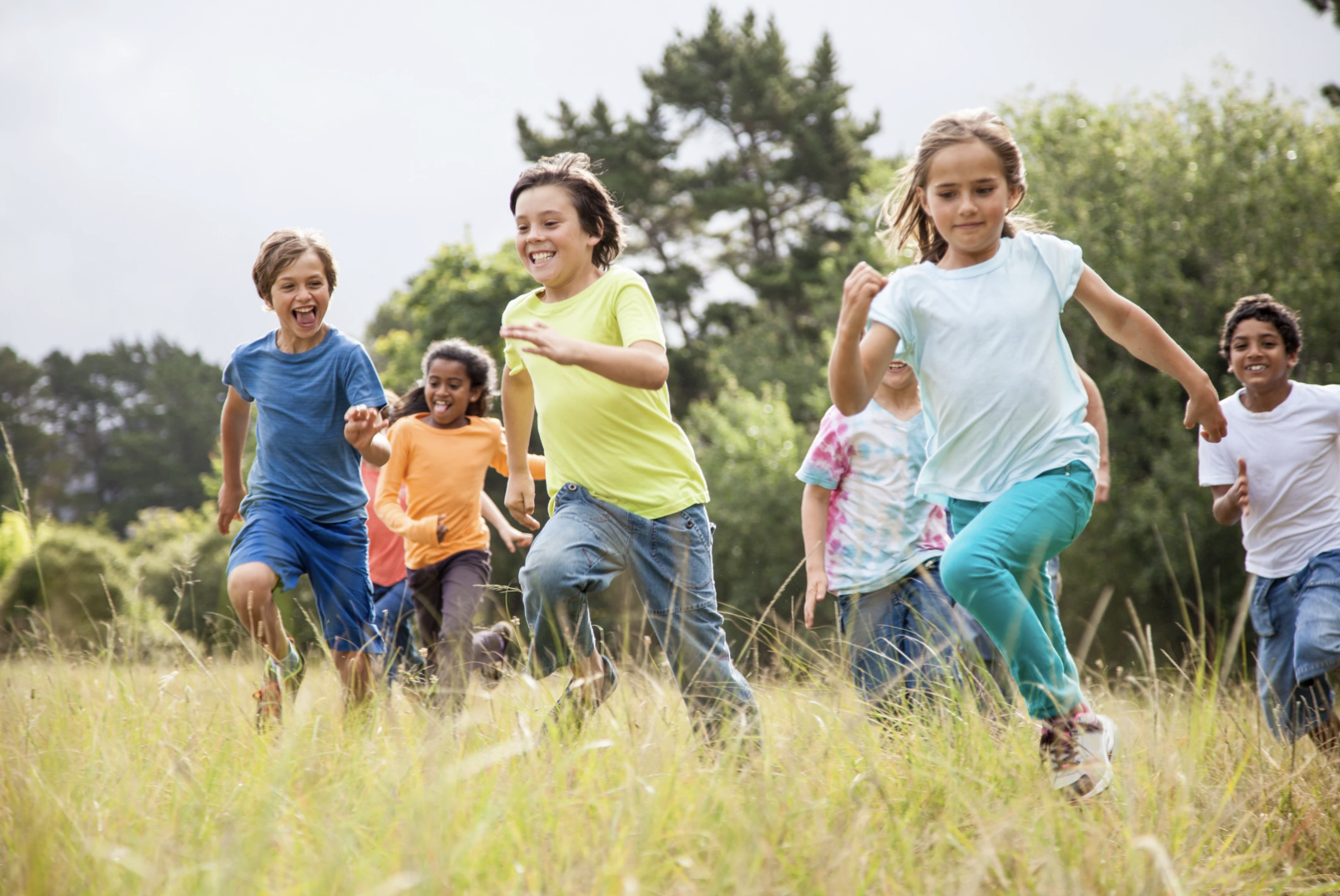 Making the New Zealand Health and Physical Education Curriculum Fit for Purpose: A Global Perspective 