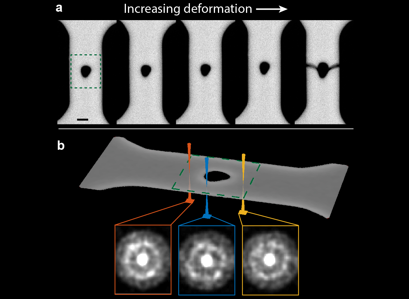 Measuring nanostructural change during deformation in a metallic glass