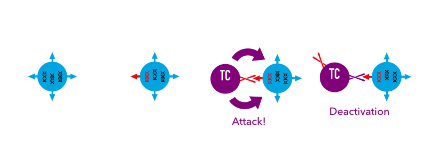 Data-driven design of gene panels for immunotherapy biomarkers
