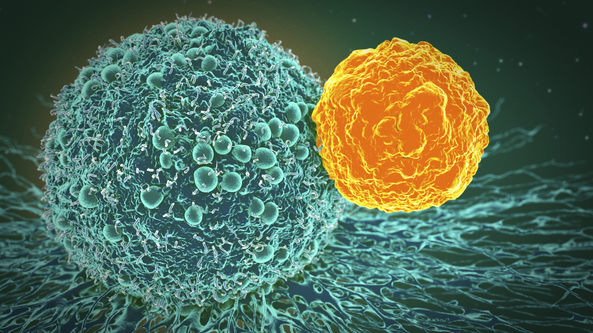 Exploring Cancer Research and Precision Medicine Through Nature Portfolio Cross-Journal Collections