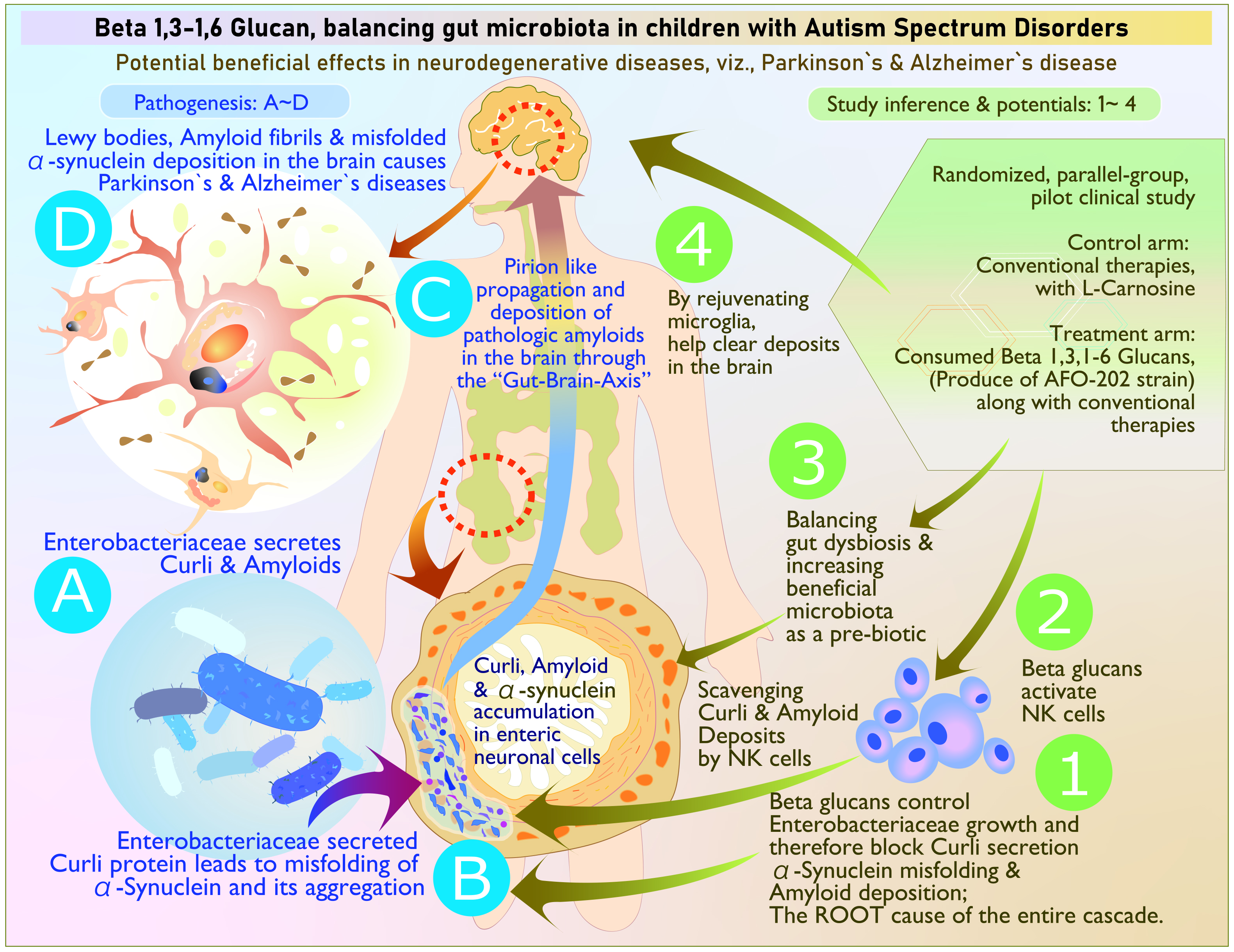 Leveraging the Gut microbiome to manage from neurodevelopmental to neurodegenerative illnesses