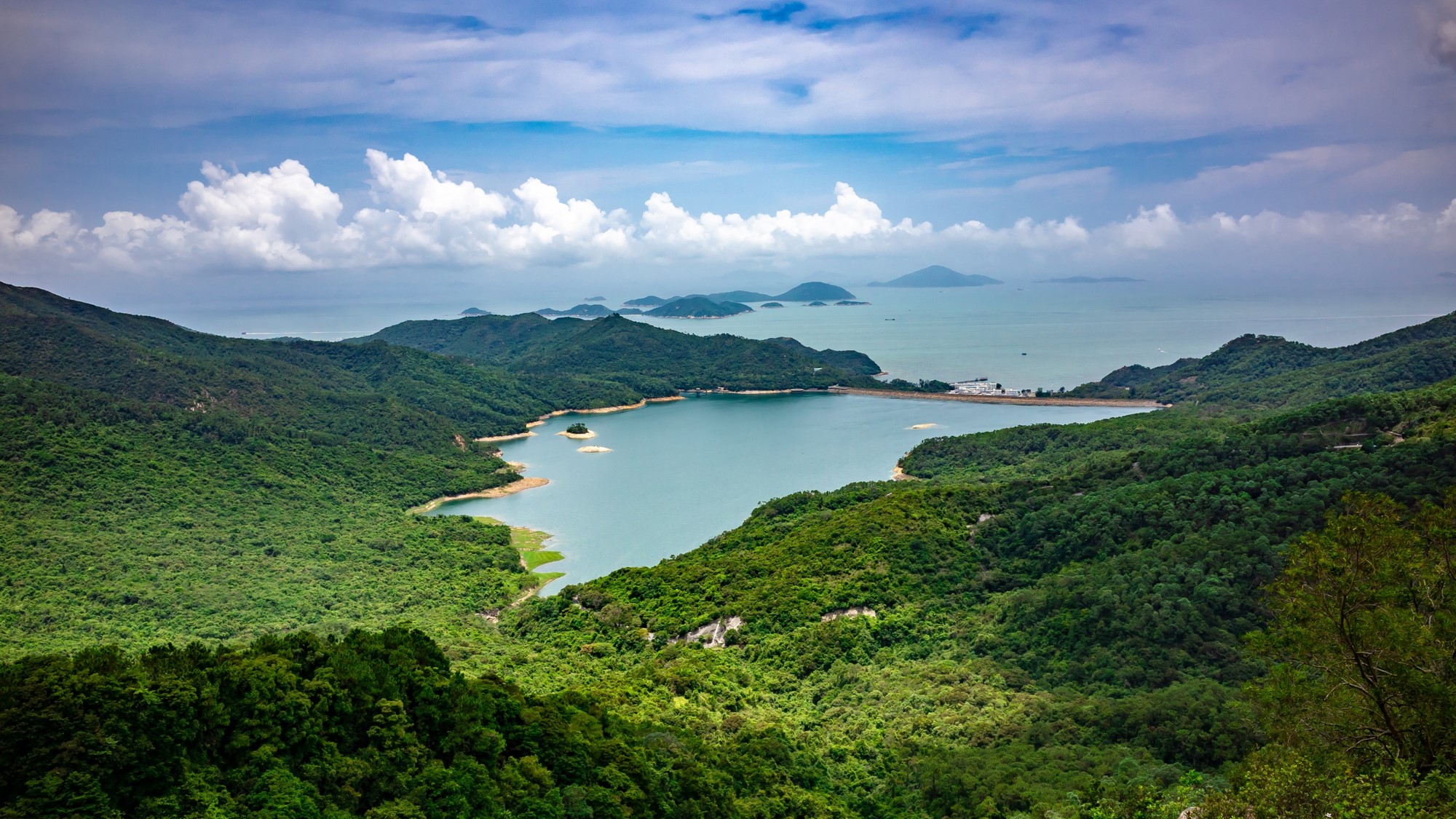 Internship at HCV Network