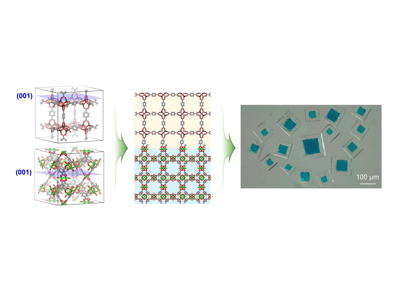 Discovering Connected Metal-Organic Frameworks with Computational/Experimental Joint Approach