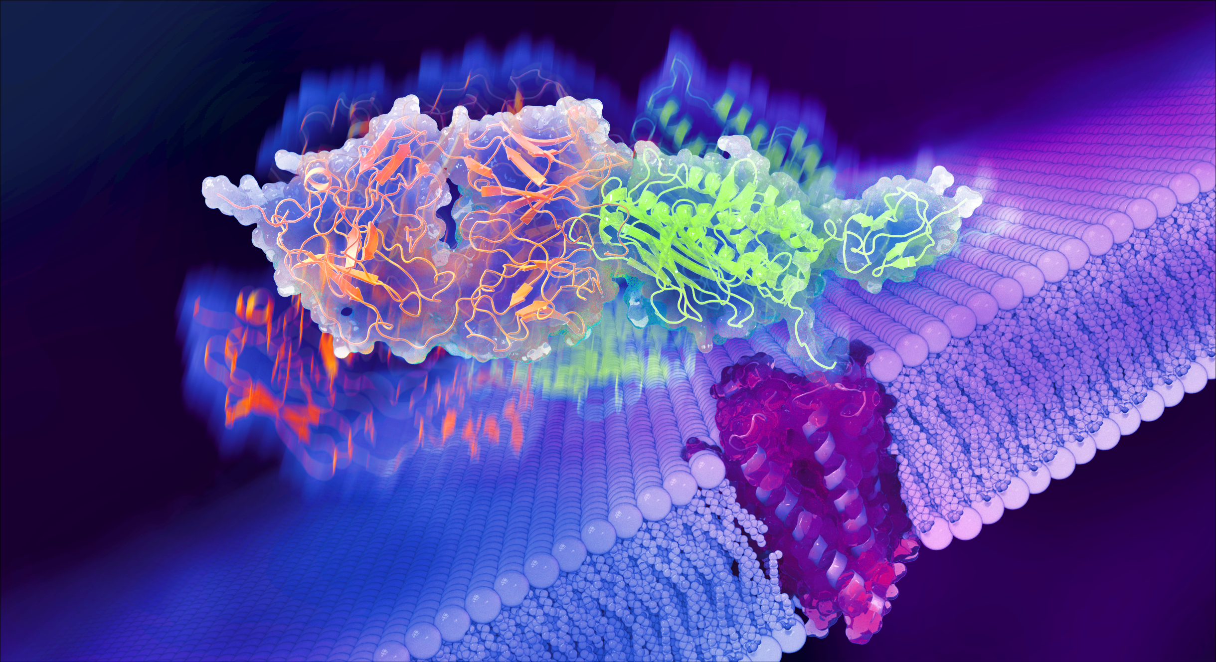 A New Perspective on Adhesion GPCRs Activation Mechanisms