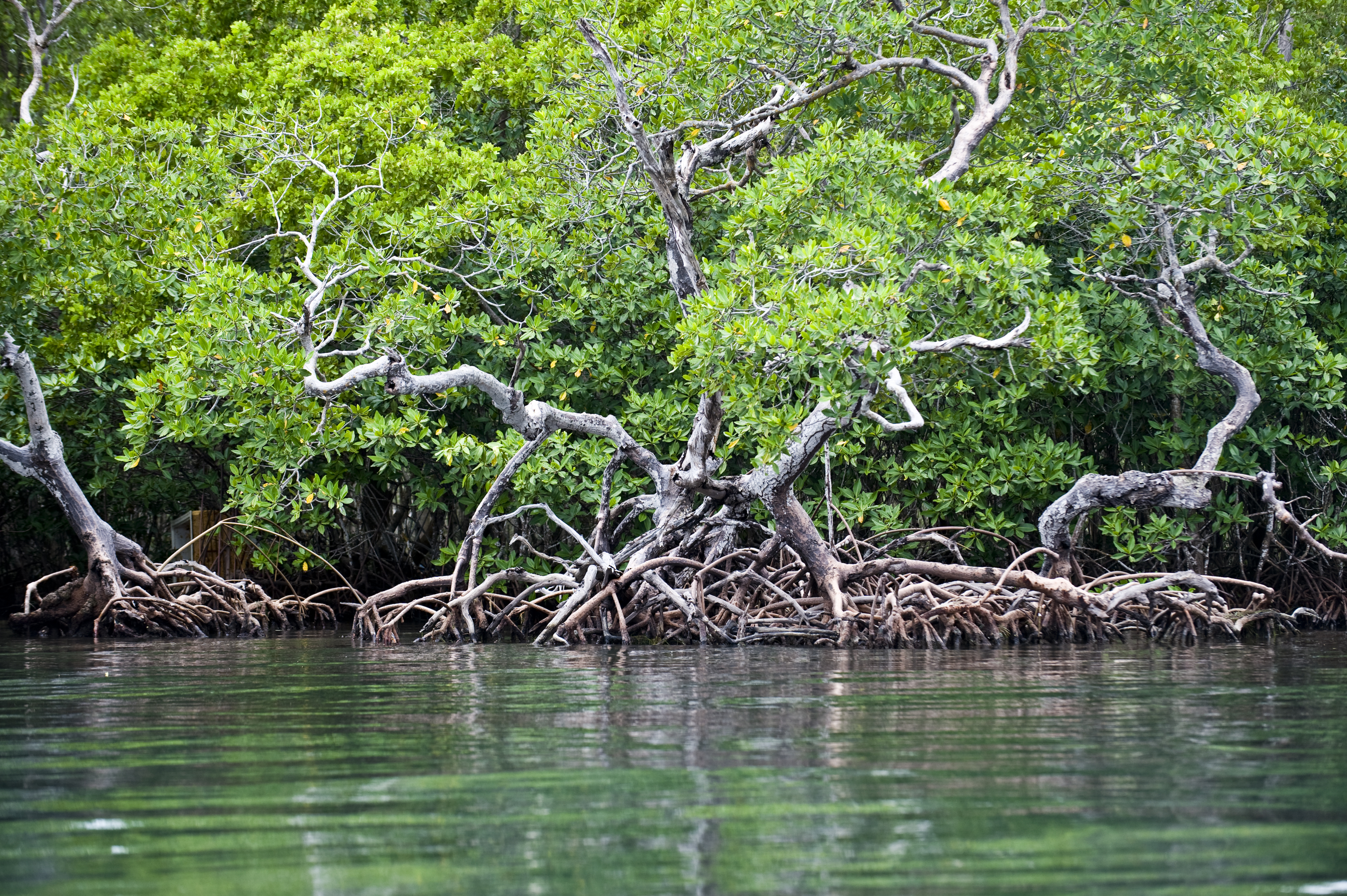 Scientists are not the only ones asking innovative research questions to tackle climate change