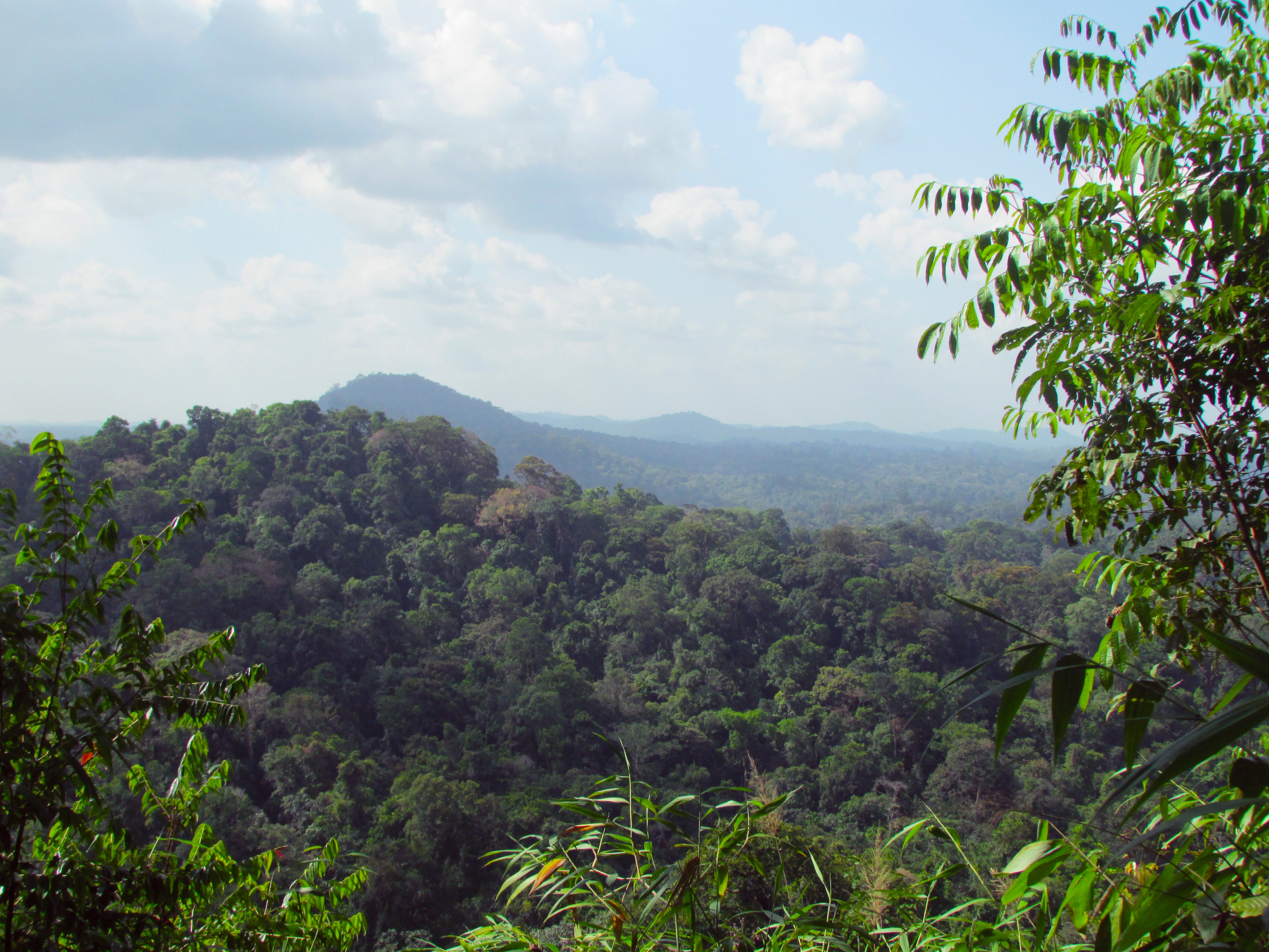 Protect forests is needed to avoid and minimize the impacts of proposals to expand mining in the Brazilian Amazon