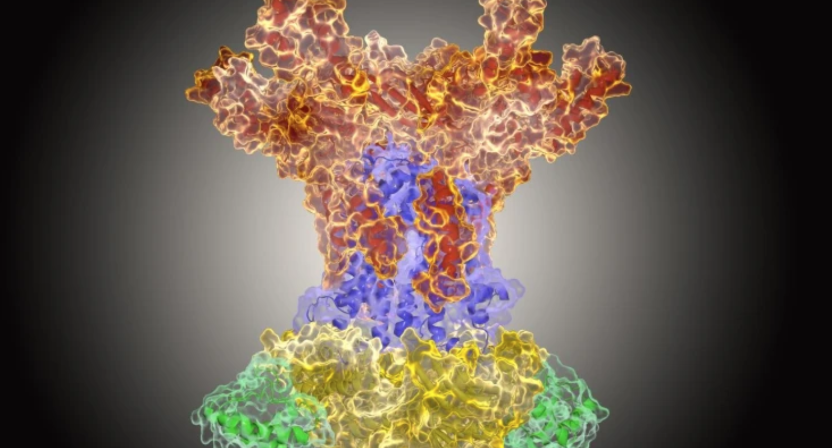 Lipid transport in Acinetobacter baumannii - Structure of the MlaBDEF complex