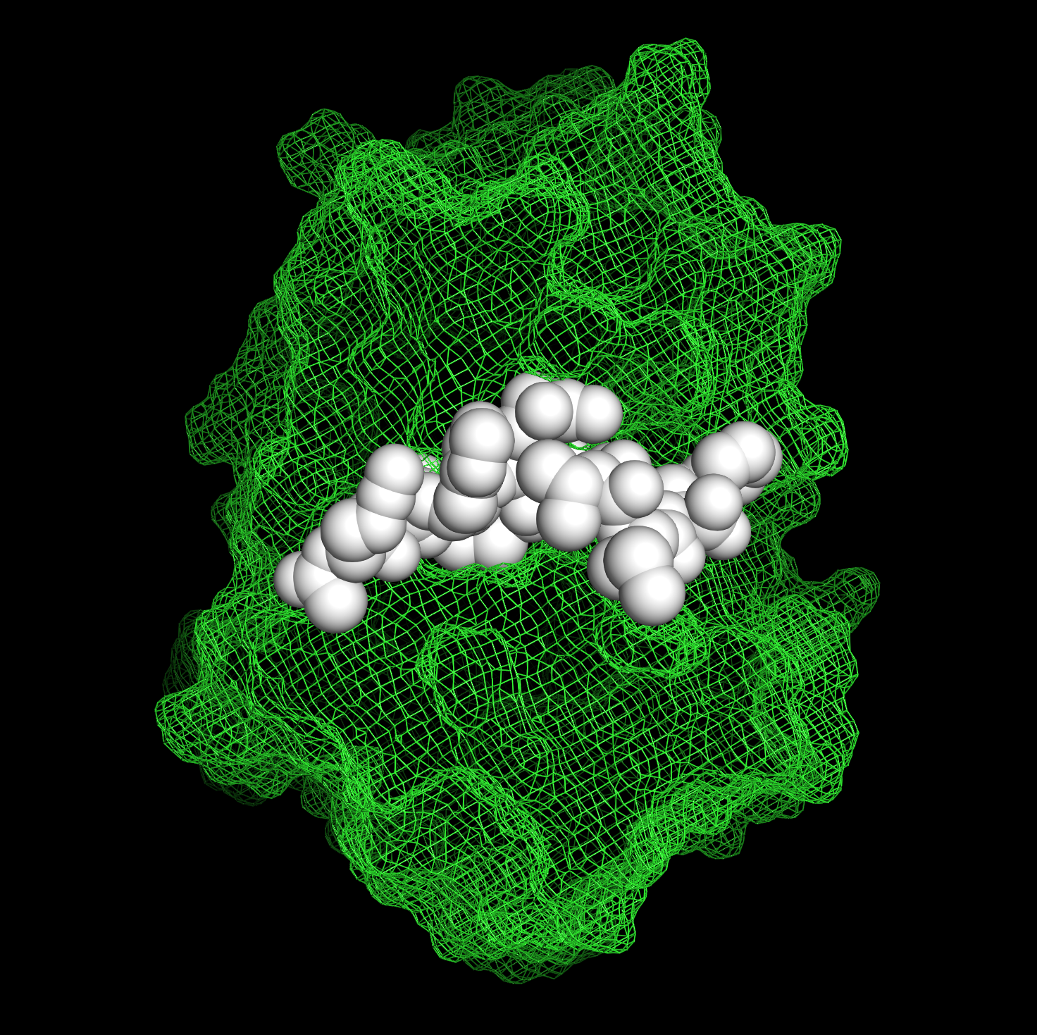 A new class of protease inhibitors delivered specifically to target cells