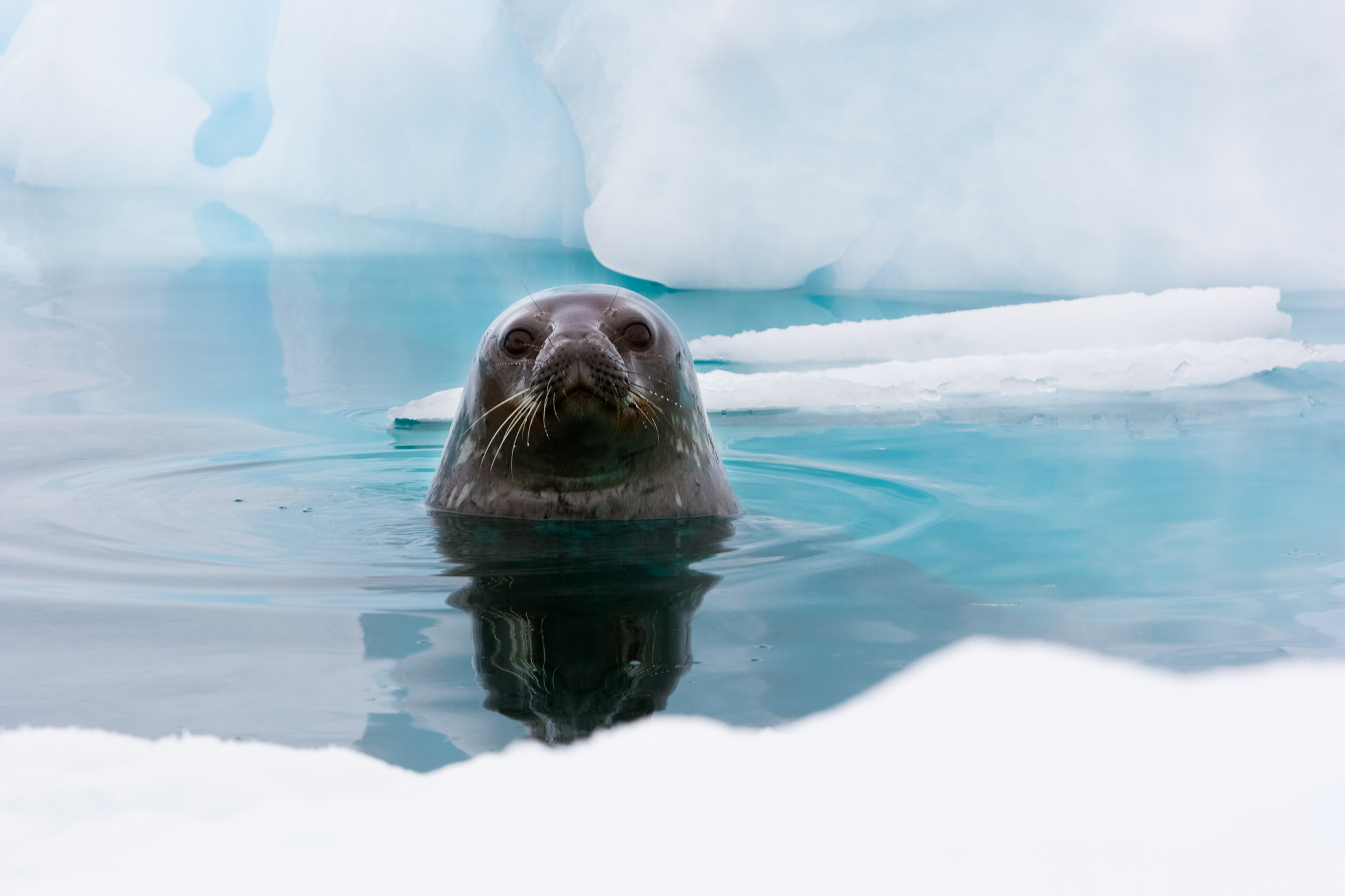 Microbiologists dive deep 