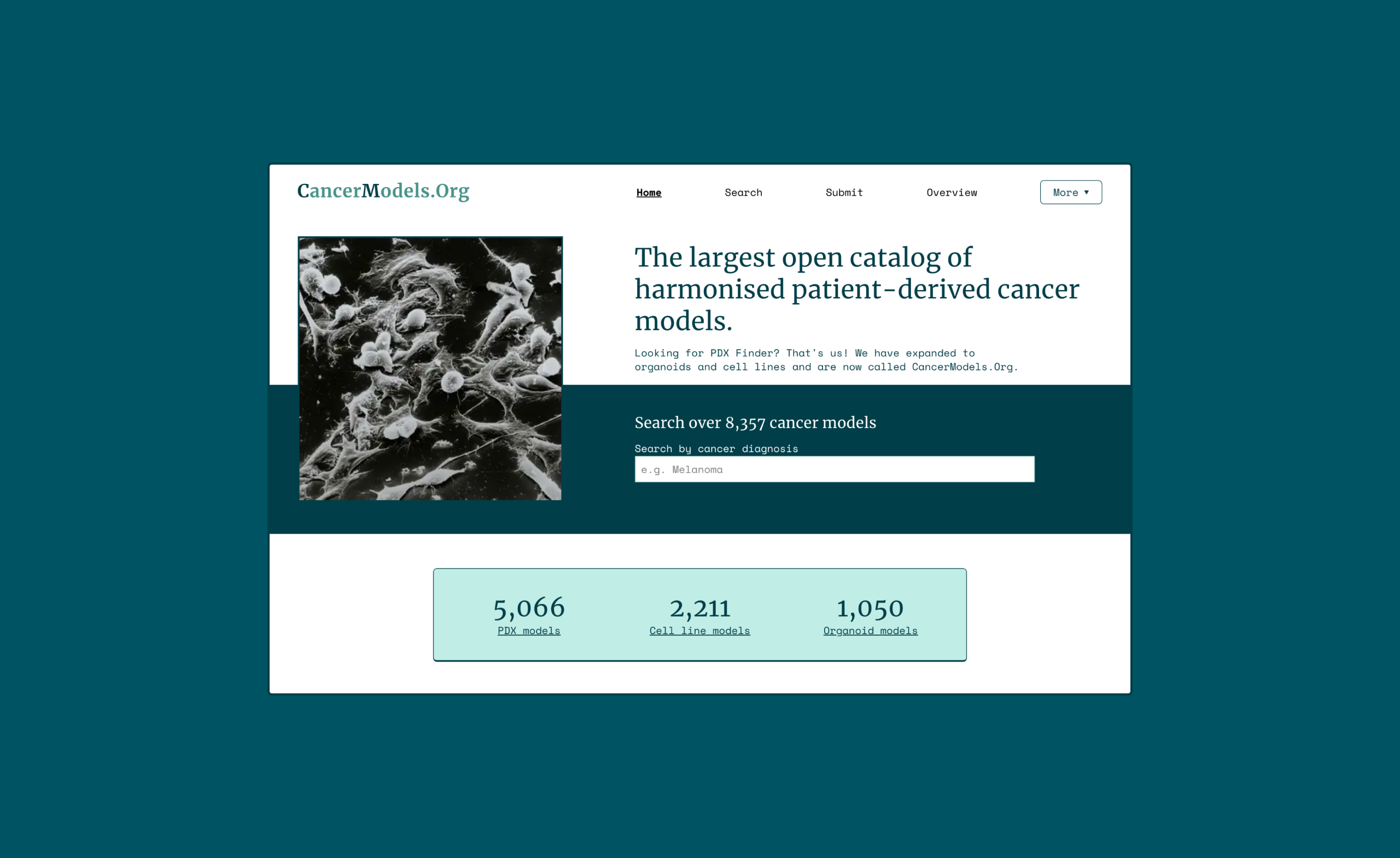 Cancer Models: Patient-Derived Xenografts, Organoids, Cells