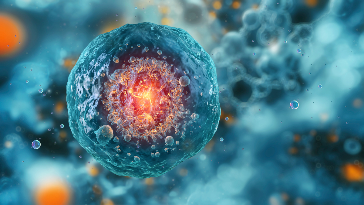Call for papers: Stem Cells in Regeneration and Repair