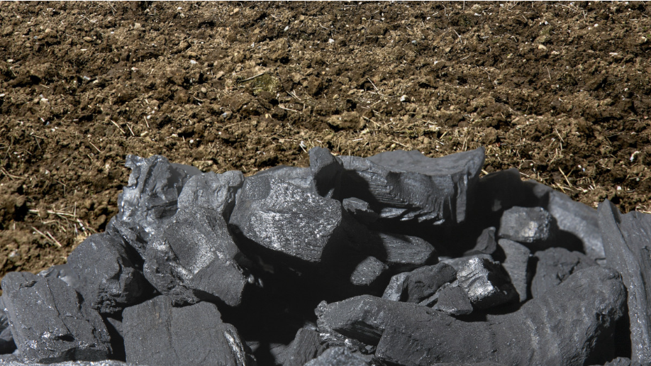 Call for papers: Sustainable biomass and energy