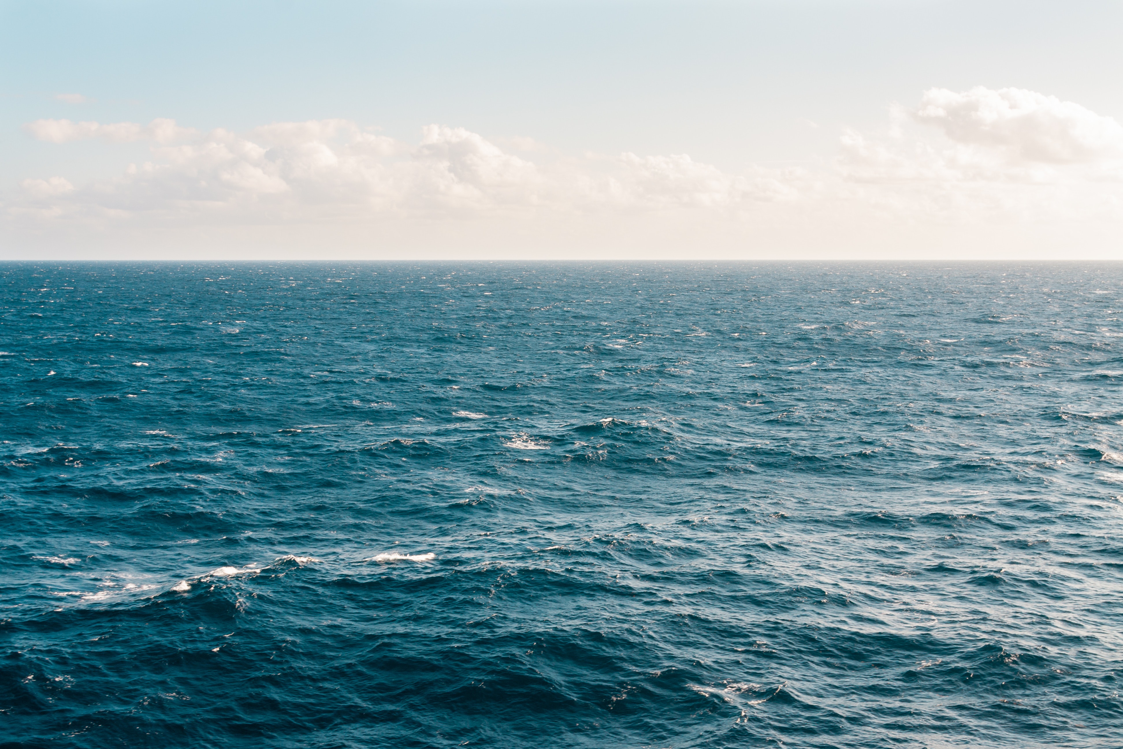 The oceanic microbial loop under climate change, a key component for predicting the future of primary production