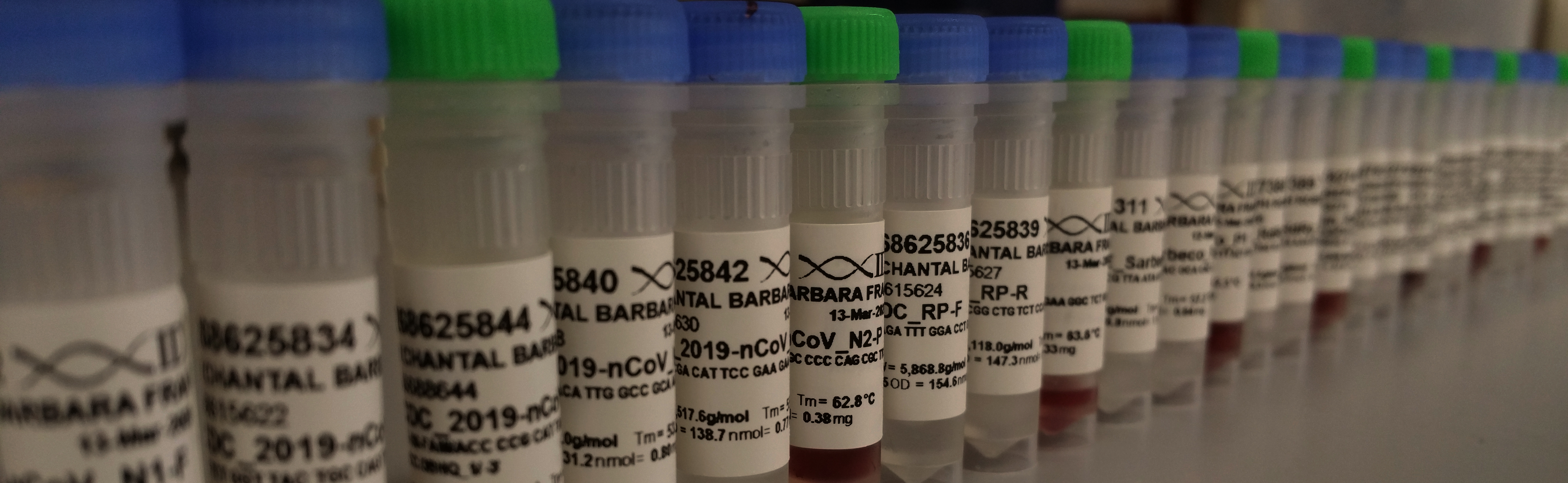 From mosquitoes to SARS-CoV-2