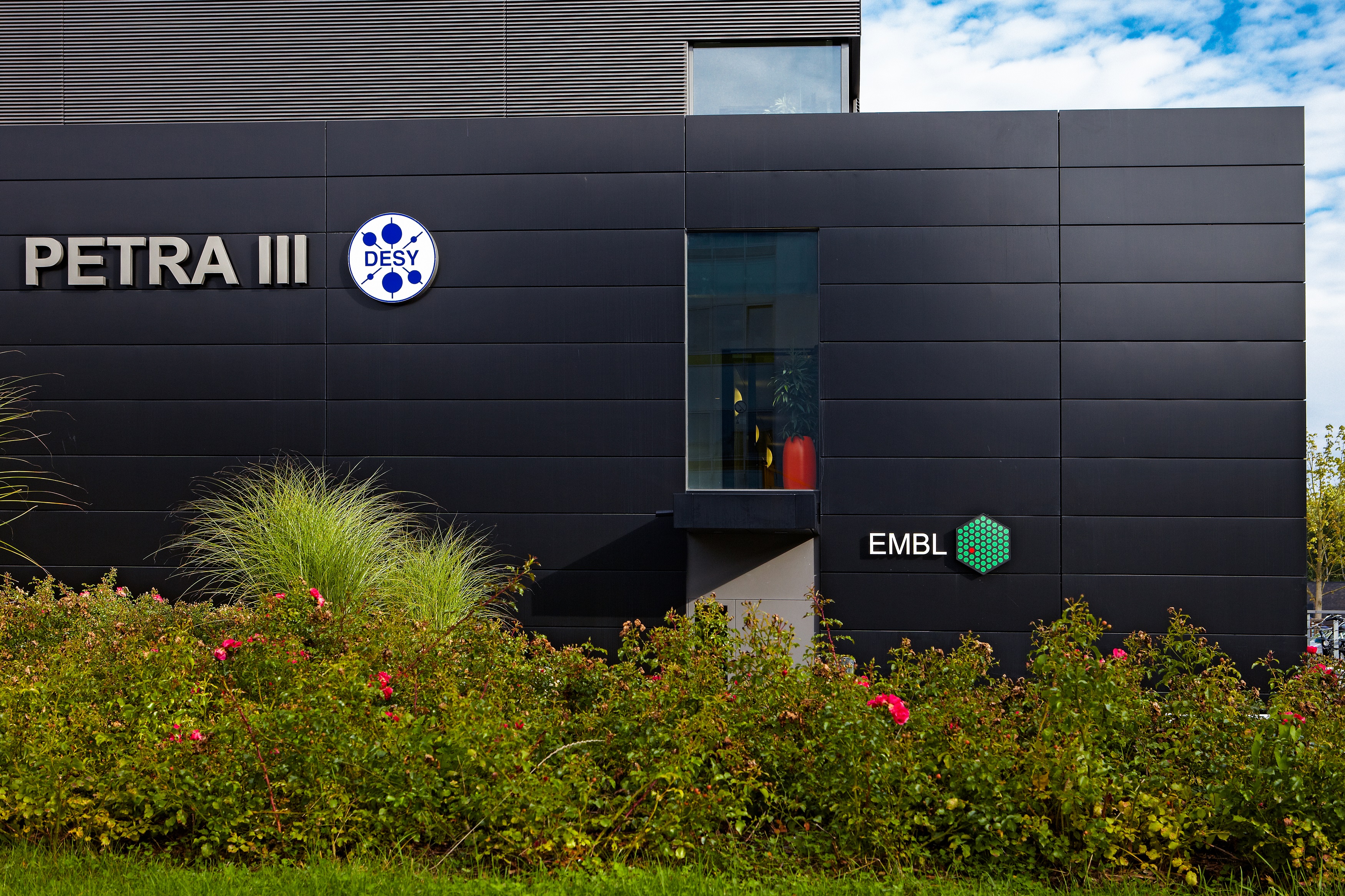 Visions: Matthias Wilmanns, Head of the European Molecular Biology Laboratory (EMBL) Hamburg