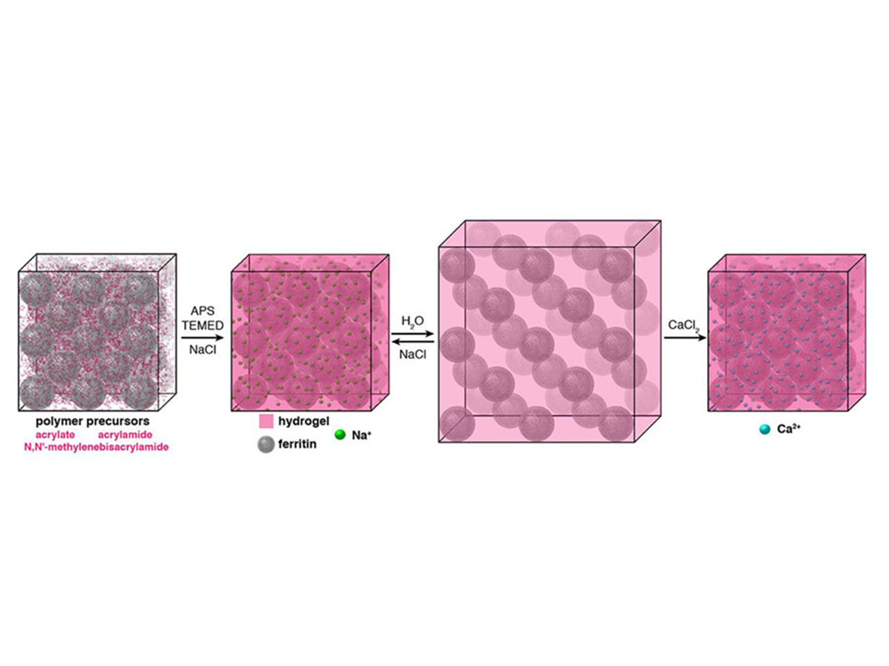 Bypassing the Fundamental Trade-off Between Structural Order and Flexibility 
