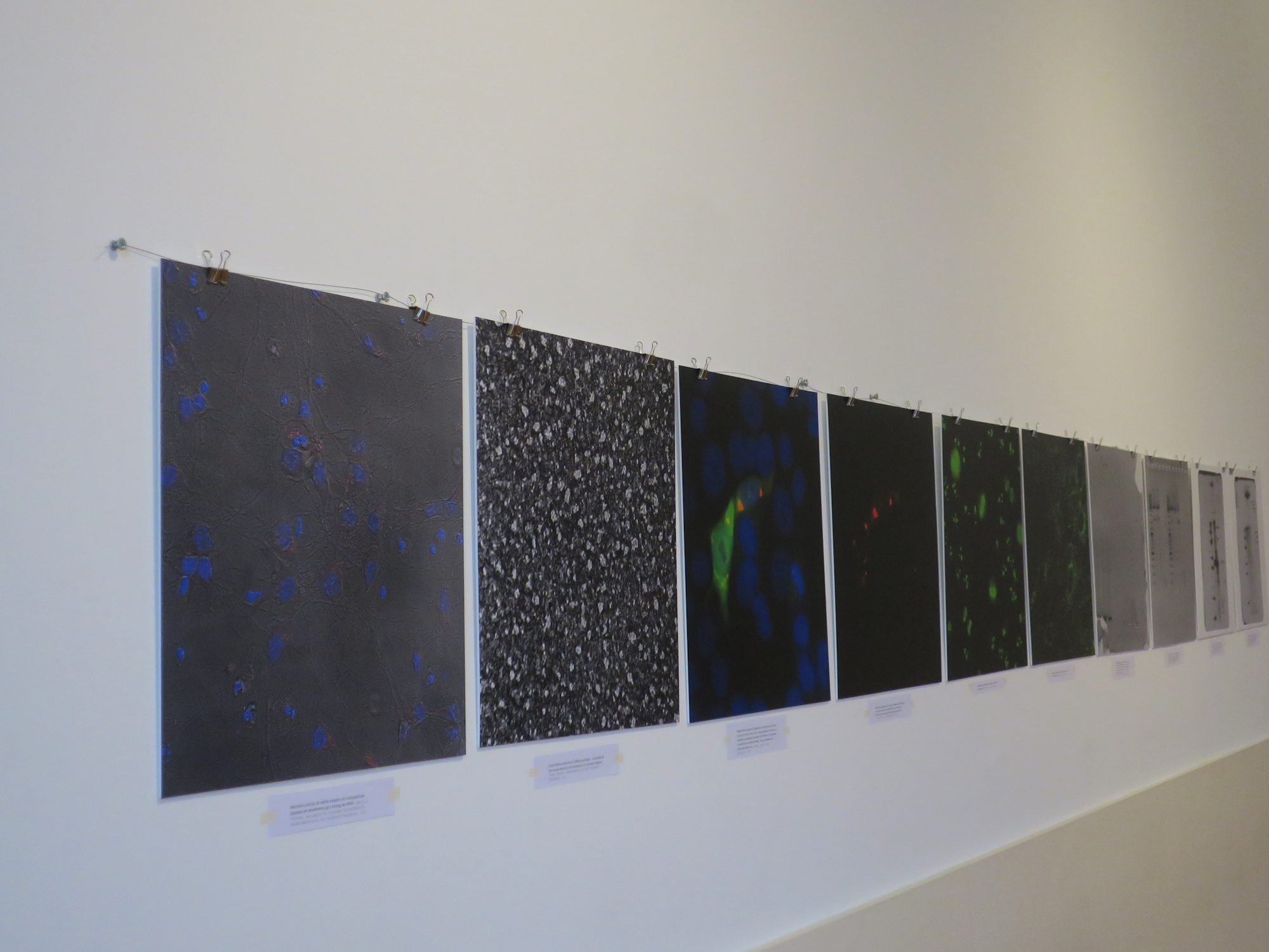 RNA SOLUTIONS – Why it is important to engage with citizens and promote trust in science