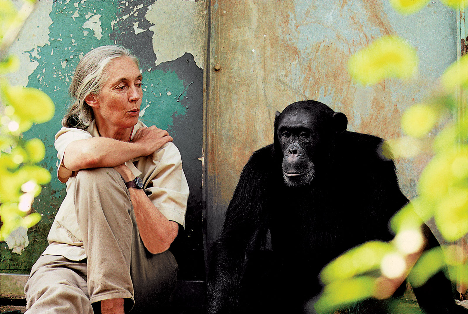 Inspirational Leadership Quote by Jane Goodall