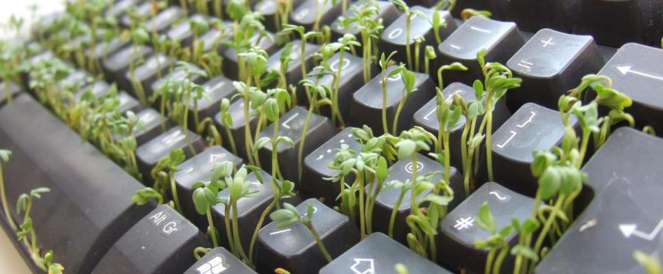 Resources to learn to code (R)