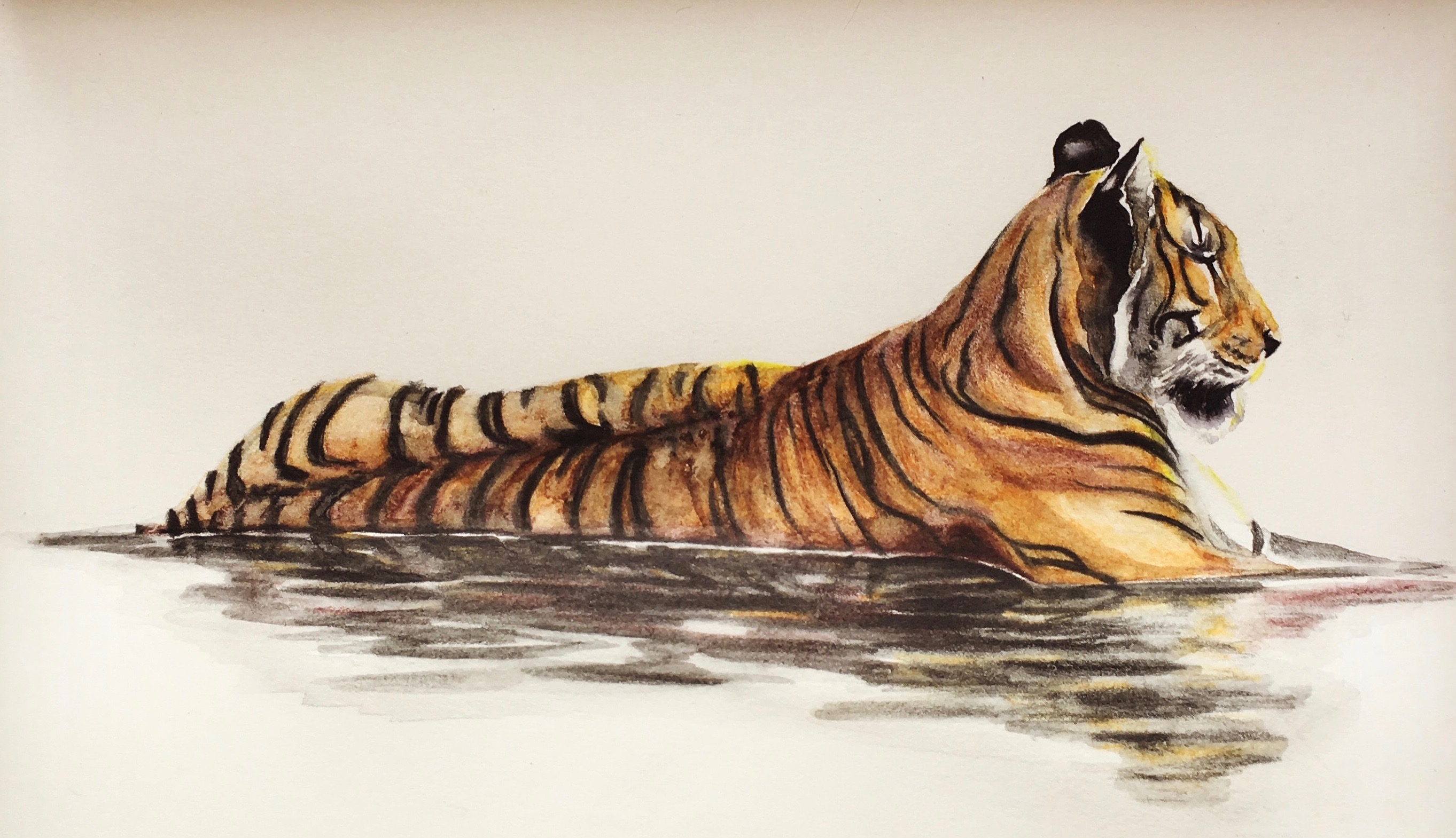 Wildlife art