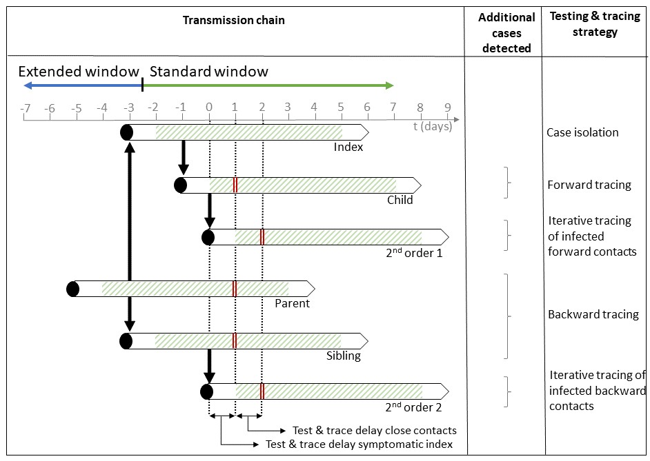 Empirical evidence on the efficiency of backward contact tracing in COVID-19