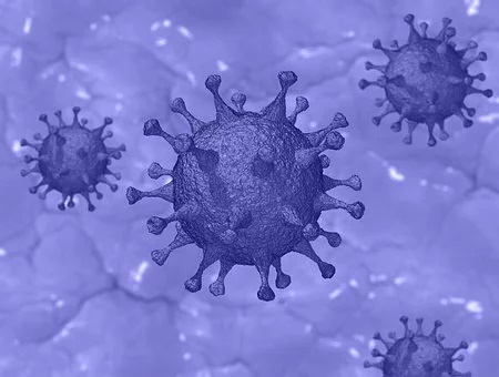 The biochemistry of SARS-CoV-2: a reasoned collection of resources
