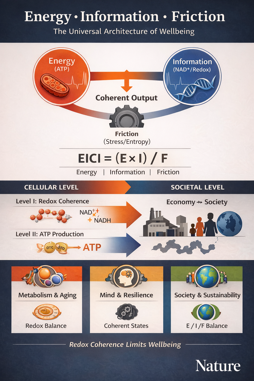 Biophysical Limits of Human Systems: A Unified Energy–Information–Friction Framework of Wellbeing