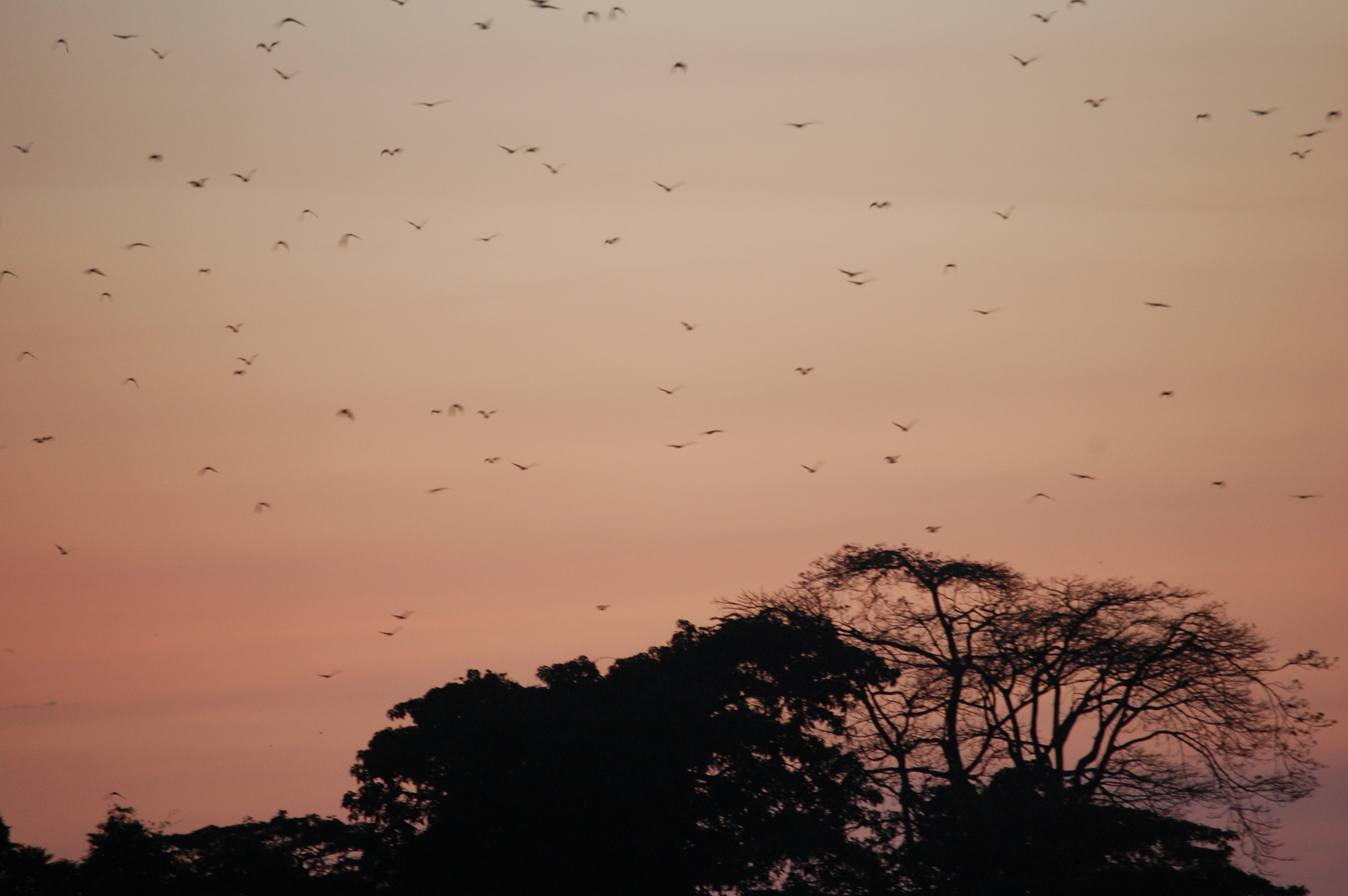 Lessons learned from Uganda 