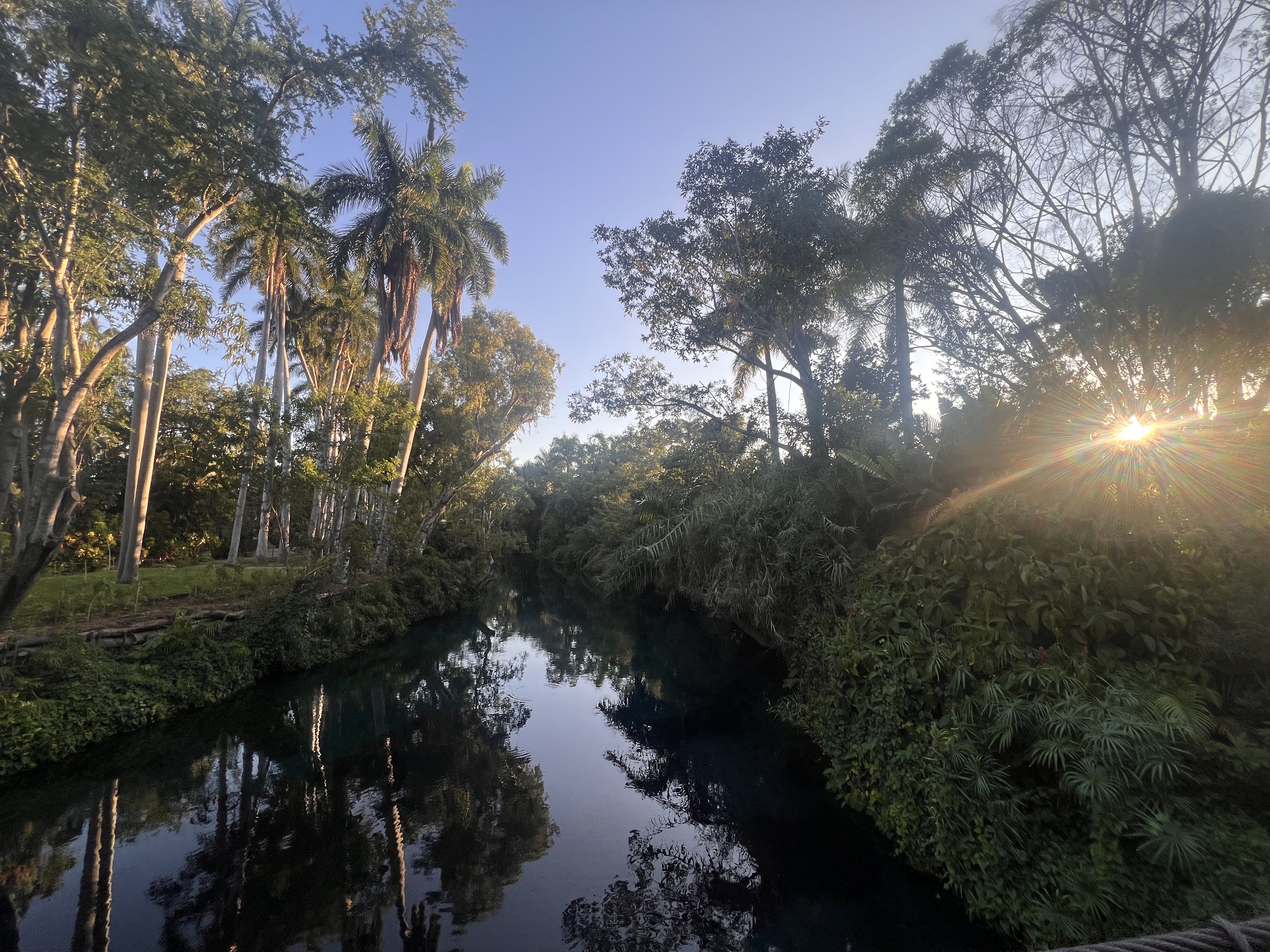 Content Creation Reflections, Week 4 in Mexico City