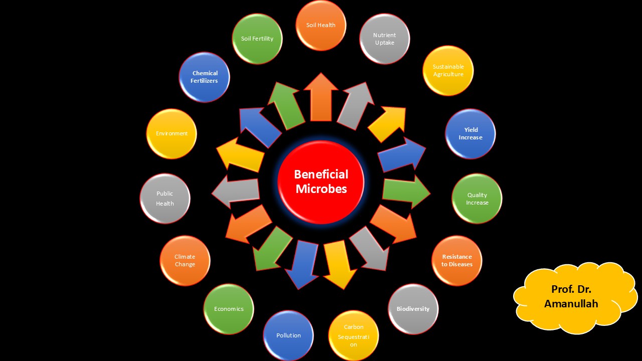 Sustainable Agriculture through Beneficial Microbes: A Key to Crop Growth and Food Security