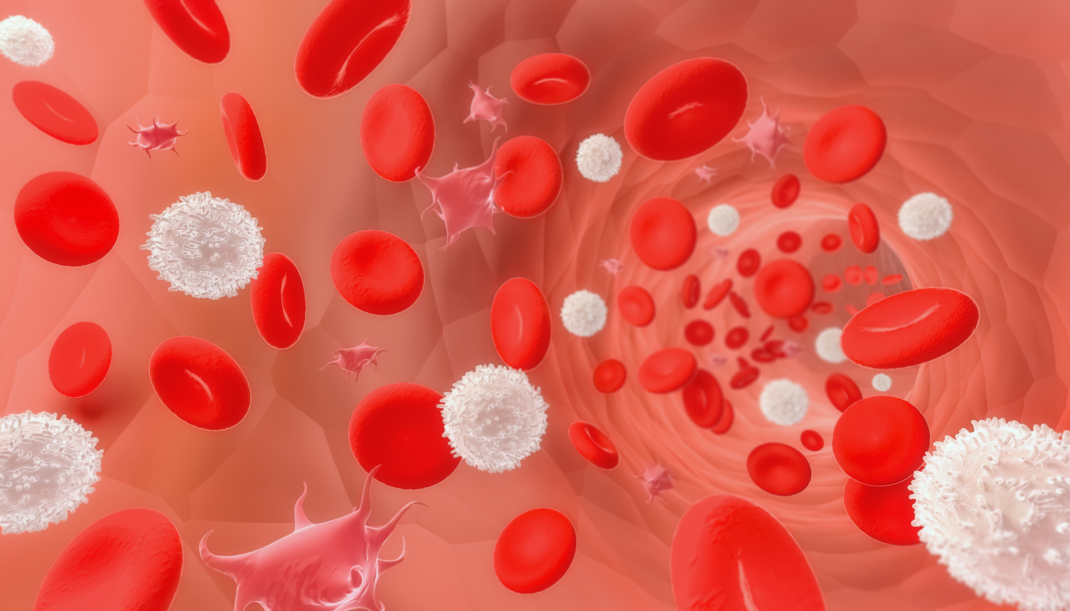 Mitochondrial Function Maintained in Ageing Blood Cells