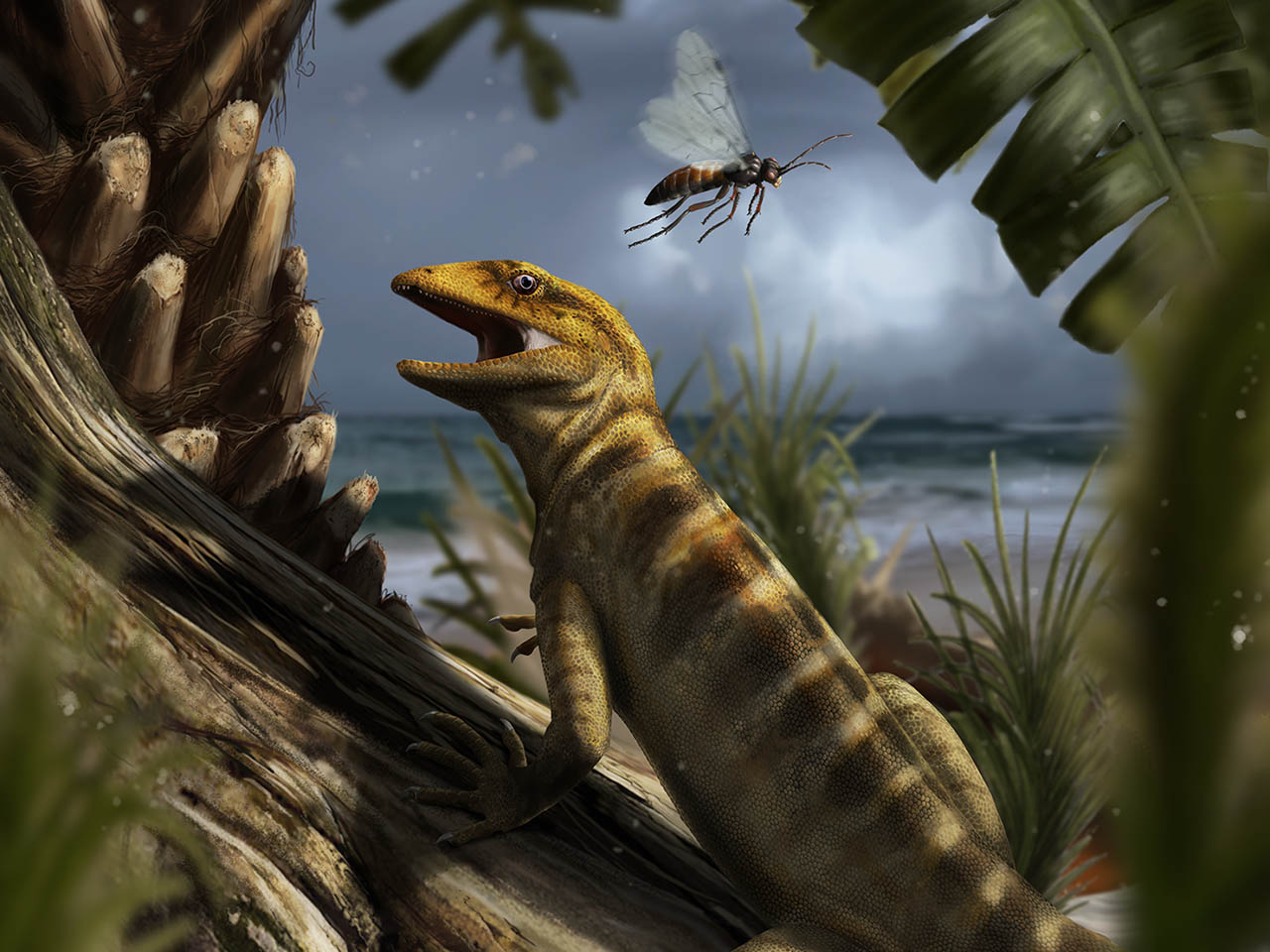 Bridging the gap on the origin of lizards