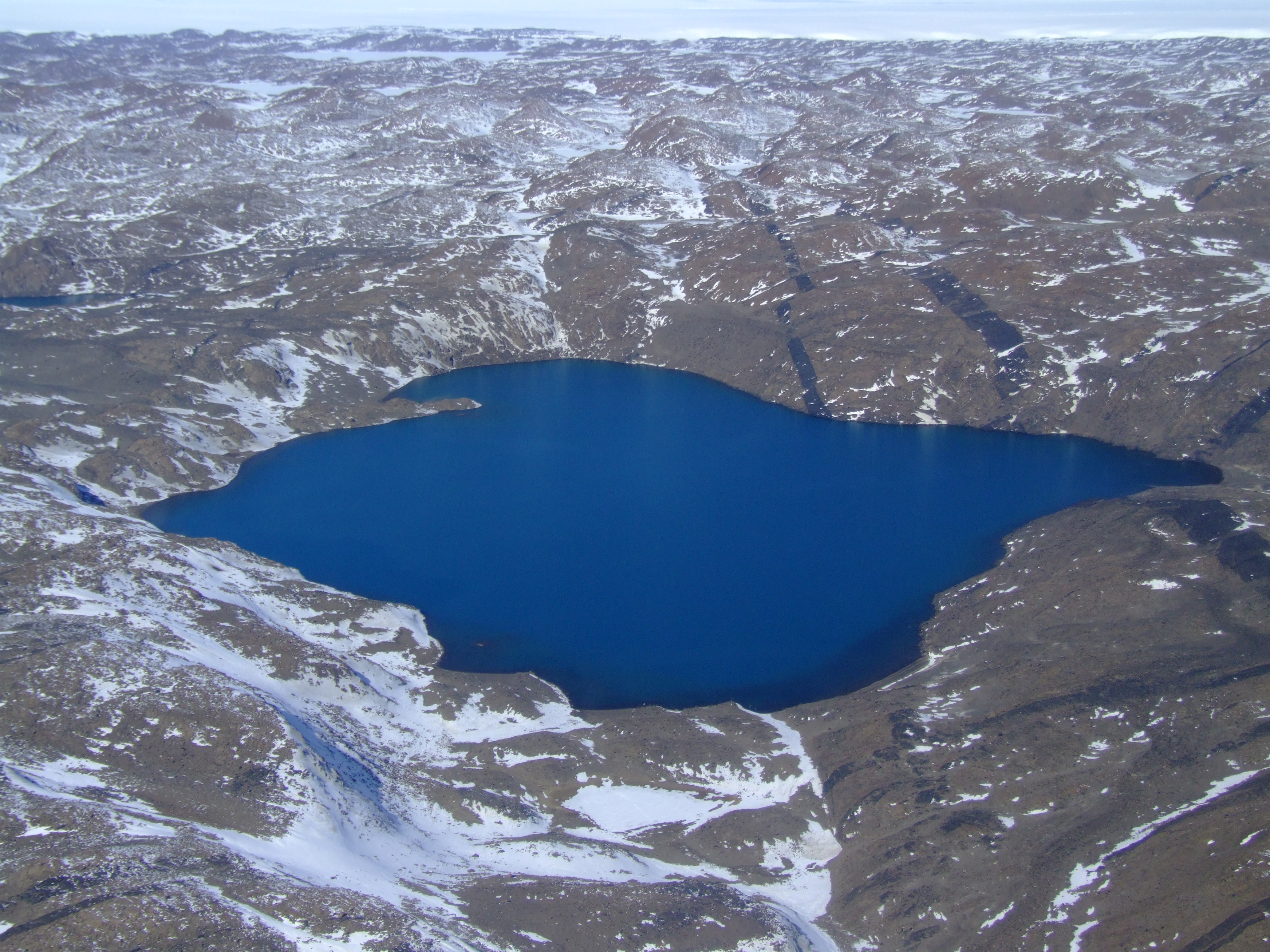 From Antarctic Polar Extremes: A Five-Year Journey to Discover Predatory Archaea
