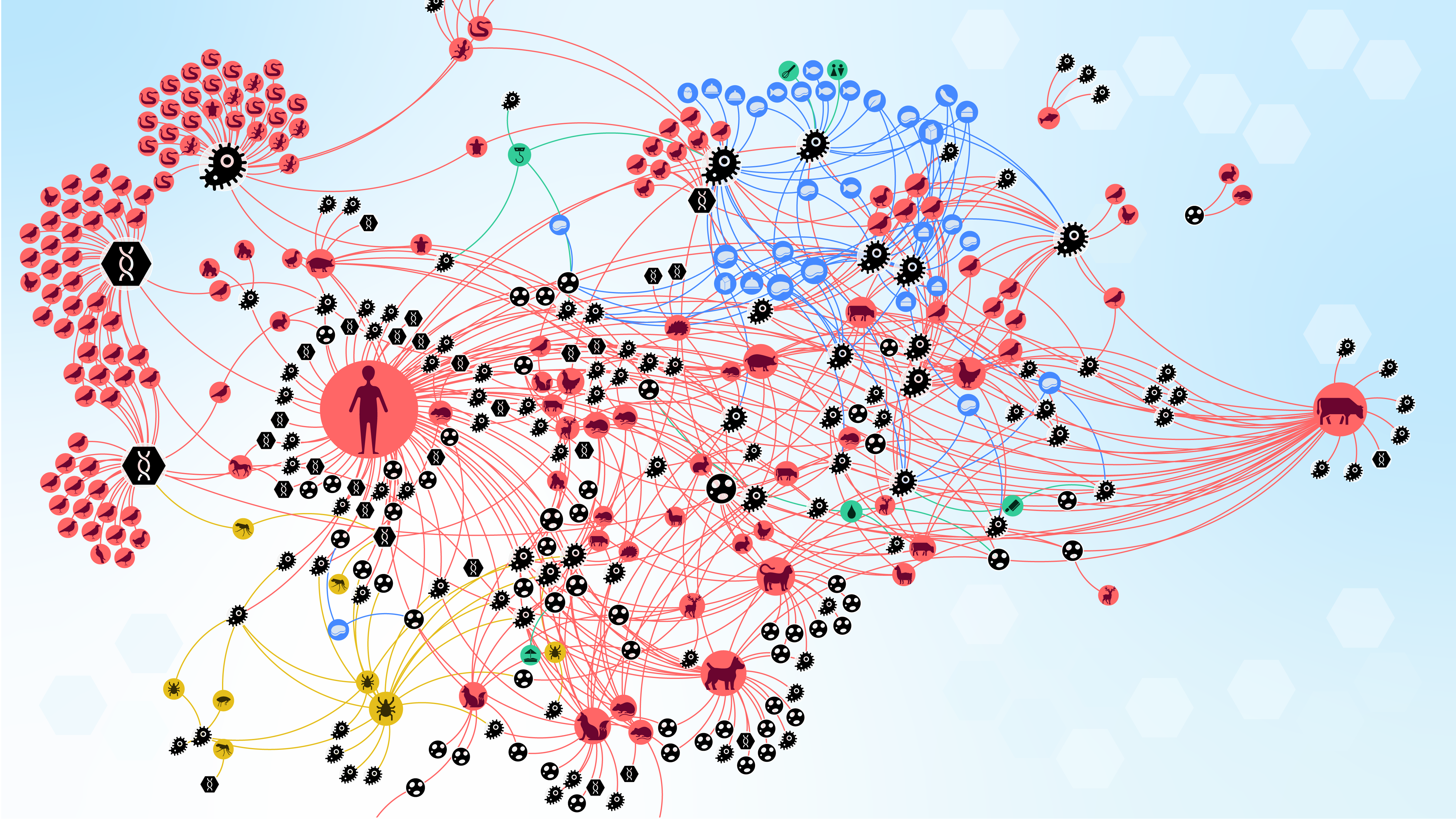 One Health meets network science: A quantitative approach to zoonotic diseases