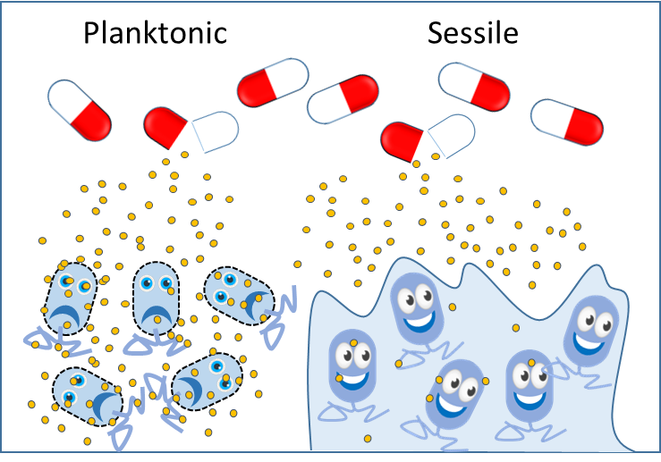 Biofilms – lifestyles of the fixed and resilient!