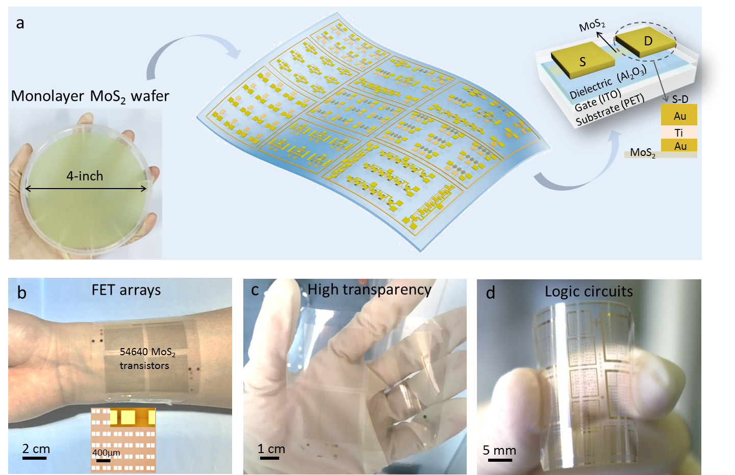 Flexible electronics based on 4-inch MoS2 wafer