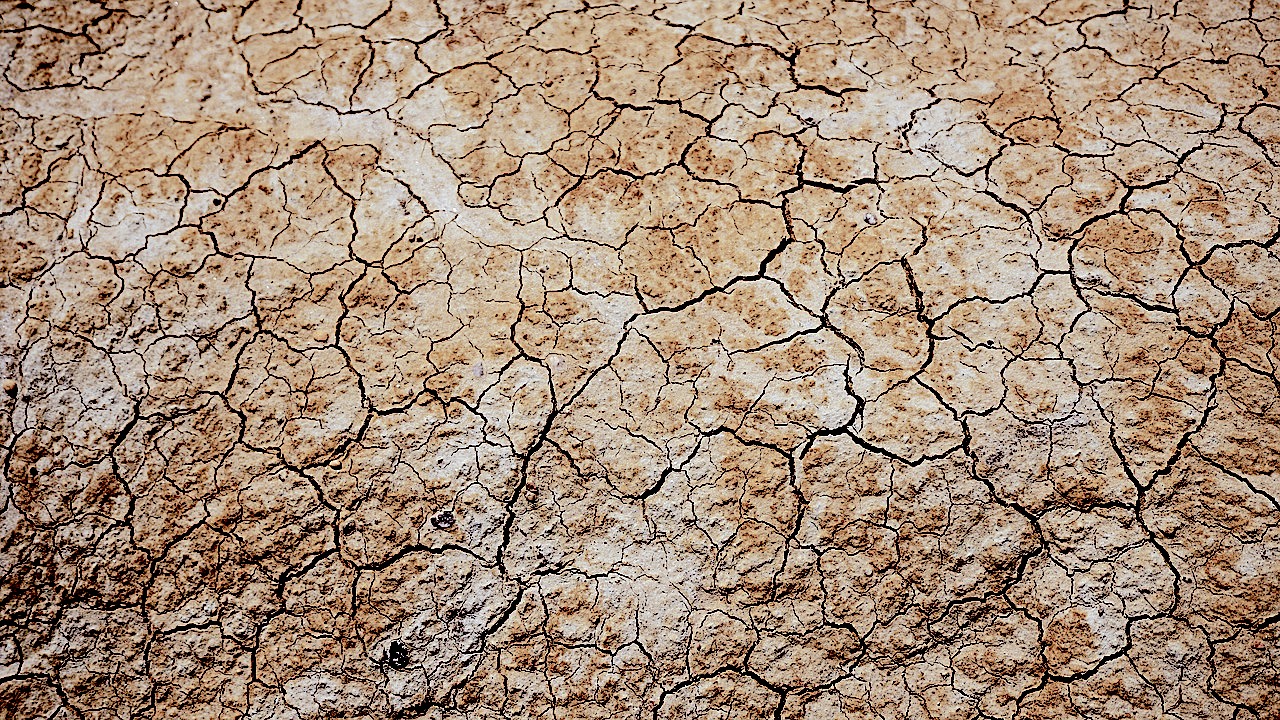 The Ripple Effects of Drought