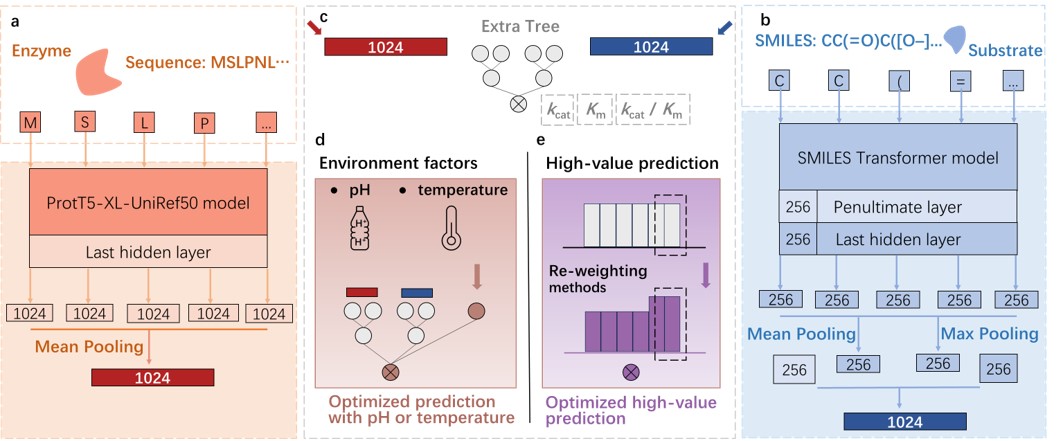 UniKP: Decoding the Enzyme 'Velocity' Secrets
