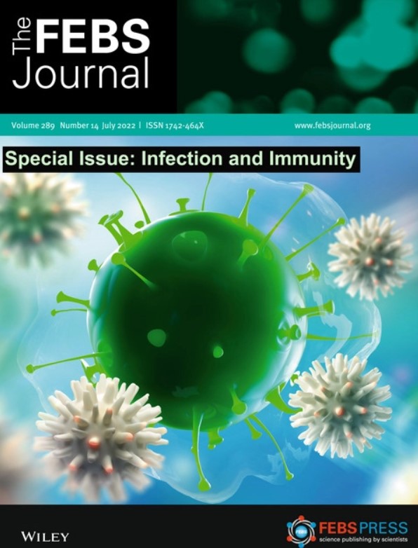 Special Issue: Infection and Immunity